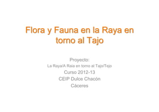 Proyecto:
La Raya/A Raia en torno al Tajo/Tejo
Curso 2012-13
CEIP Dulce Chacón
Cáceres
 