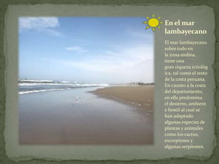 El mar lambayecano
sobre todo en
la zona andina,
tiene una
gran riqueza ictiológ
ica, tal como el resto
de la costa peruana.
En cuanto a la costa
del departamento,
en ella predomina
el desierto, ambient
e hostil al cual se
han adaptado
algunas especies de
plantas y animales
como los cactus,
escorpiones y
algunas serpientes.
En el mar
lambayecano
 
