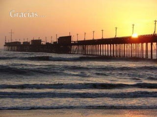 Flora y fauna lambayecana