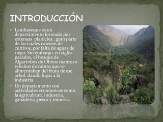  Lambayeque es un
departamento formado por
extensas planicies , gran parte
de las cuales carecen de
cultivos, por falta de aguas de
riego. Sin embargo, en siglos
pasados, el bosque de
Algarrobos de Olmos mantuvo
rebaños de cabras que se
alimentaban del fruto de ese
árbol, dando lugar a la
industria.
 Un departamento con
actividades económicas como
la agricultura, industria,
ganadería ,pesca y minería.
 