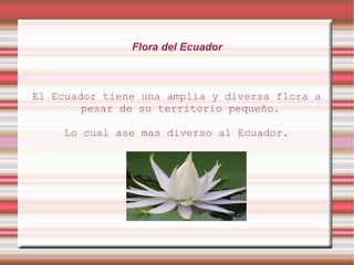 Flora del Ecuador



El Ecuador tiene una amplia y diversa flora a
        pesar de su territorio pequeño.

     Lo cual ase mas diverso al Ecuador.
 
