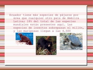 Ecuador tiene más especies de pájaros por
  área que cualquier otro país de América
  Latina; 18% del total de las especies
  mundiales están presentes aquí. Las
  especies de insectos sobrepasan el millón,
  y las mariposas llegan a las 4.500
 