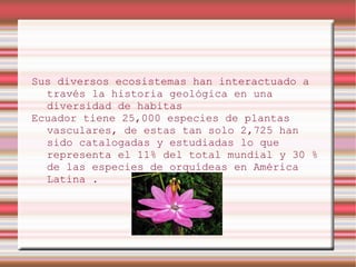 Sus diversos ecosistemas han interactuado a
  través la historia geológica en una
  diversidad de habitas
Ecuador tiene 25,000 especies de plantas
  vasculares, de estas tan solo 2,725 han
  sido catalogadas y estudiadas lo que
  representa el 11% del total mundial y 30 %
  de las especies de orquídeas en América
  Latina .
 