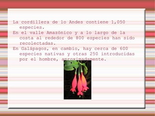 La cordillera de lo Andes contiene 1,050
  especies.
En el valle Amazónico y a lo largo de la
  costa al rededor de 800 especies han sido
  recolectadas.
En Galápagos, en cambio, hay cerca de 600
  especies nativas y otras 250 introducidas
  por el hombre, aproximadamente.
 