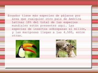 Ecuador tiene más especies de pájaros por
  área que cualquier otro país de América
  Latina; 18% del total de las especies
  mundiales están presentes aquí. Las
  especies de insectos sobrepasan el millón,
  y las mariposas llegan a las 4.500, entre
  otras.
 