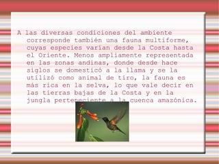 A las diversas condiciones del ambiente
  corresponde también una fauna multiforme,
  cuyas especies varían desde la Costa hasta
  el Oriente. Menos ampliamente representada
  en las zonas andinas, donde desde hace
  siglos se domesticó a la llama y se la
  utilizó como animal de tiro, la fauna es
  más rica en la selva, lo que vale decir en
  las tierras bajas de la Costa y en la
  jungla perteneciente a la cuenca amazónica.
 