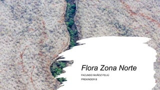 Flora Zona Norte
FACUNDO MUÑOZ FELIÚ
PREKINDER B
 