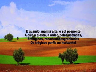 E quando, manhã alta, o sol posponte A oiro a giesta, a arder, pelas estradas, Enfíngicas, recortam desgrenhadas Os trágicos perfis no horizonte! 