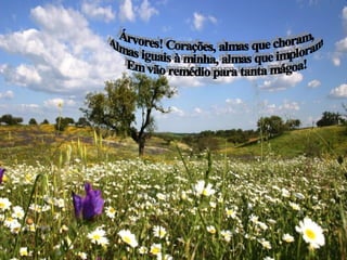 Árvores! Corações, almas que choram, Almas iguais à minha, almas que imploram Em vão remédio para tanta mágoa! 