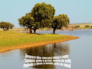Árvores! Não choreis! Olhai e vede: - Também ando a gritar, morta de sede, Pedindo a Deus a minha gota de água! 