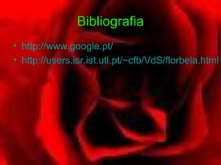 Bibliografia
• http://www.google.pt/
• http://users.isr.ist.utl.pt/~cfb/VdS/florbela.html
 