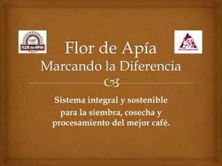 Sistema integral y sostenible
  para la siembra, cosecha y
procesamiento del mejor café.
 