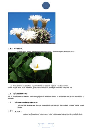 1
1
1.4.5 Monoico;
cuando en la misma planta hay flores masculinas y femeninas pero a distinta altura.
Las flores también se clasifican según la forma de la corola o pétalo y se denominan:
Cinta, arveja, labio, cruz, estrellada, plato, vaso, urna, tubo, bandeja, trompeta, campana, etc.
1.5 Inflorescencias
Se da este nombre a la forma como se agrupan las flores en el tallo se dividen en dos grupos: racimosas y
amosas.
1.5.1 Inflorescencias racimosas:
son las que tienen el eje principal más robusto que los ejes secundarios, pueden ser de varias
clases.
1.5.2 racimo.-
cuando las flores tienen pedúnculo y están colocadas a lo largo del eje principal: alhelí.
 