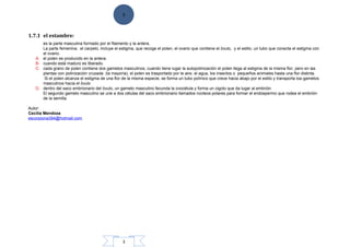 3
3
1.7.1 el estambre:
es la parte masculina formado por el filamento y la antera.
La parte femenina; el carpelo, incluye el estigma, que recoge el polen, el ovario que contiene el óvulo, y el estilo, un tubo que conecta el estigma con
el ovario.
A. el polen es producido en la antera.
B. cuando está maduro es liberado.
C. cada grano de polen contiene dos gametos masculinos, cuando tiene lugar la autopolinización el polen llega al estigma de la misma flor, pero en las
plantas con polinización cruzada (la mayoría), el polen es trasportado por le aire, el agua, los insectos o pequeños animales hasta una flor distinta.
Si el polen alcanza el estigma de una flor de la misma especie, se forma un tubo polínico que crece hacia abajo por el estilo y transporta loa gametos
masculinos hacia el óvulo
D. dentro del saco embrionario del óvulo, un gameto masculino fecunda la ovocélula y forma un cigoto que da lugar al embrión.
El segundo gameto masculino se une a dos células del saco embrionario llamados núcleos polares para formar el endospermo que rodea el embrión
de la semilla.
Autor:
Cecilia Mendoza
escorpiona394@hotmail.com
 