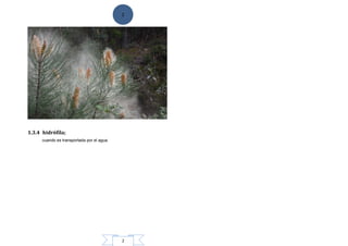 2
2
1.3.4 hidrófila;
cuando es transportada por el agua.
 