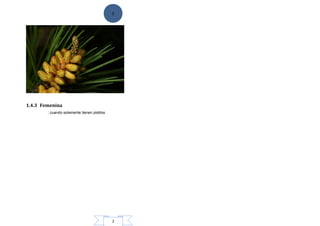 2
2
1.4.3 Femenina
; cuando solamente tienen pistilos.
 