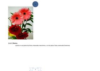 2
2
1.4.4 Dioico;
cuando en una planta hay flores unisexuales masculinas y, en otra planta flores unisexuales femeninas.
 