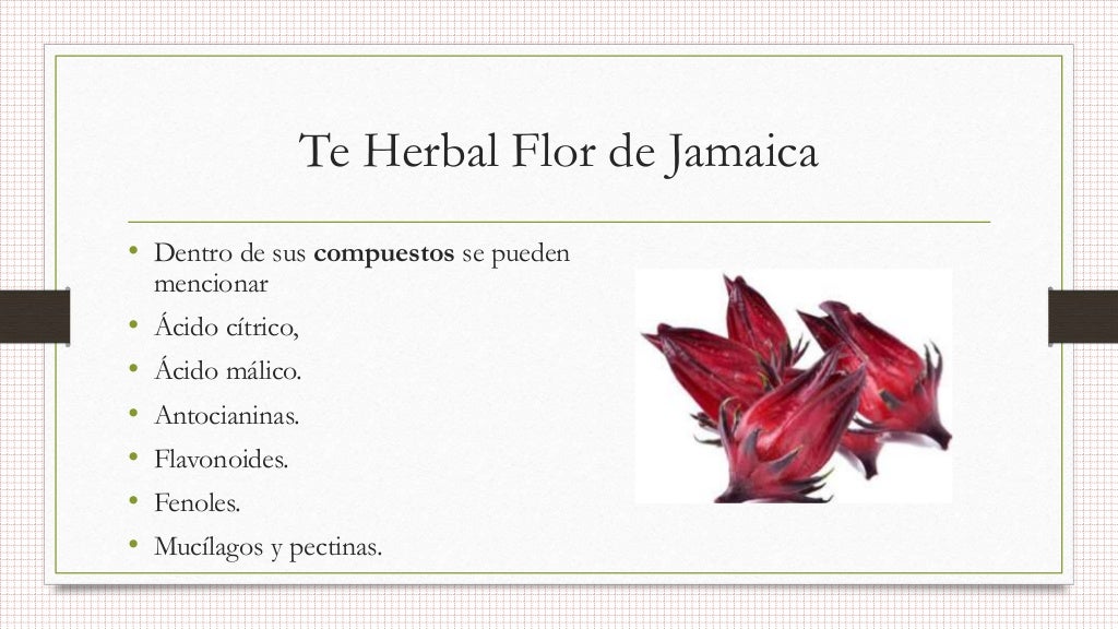 Flor de jamaica