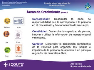 Áreas de Crecimiento  (cont.) Corporalidad  : Desarrollar la parte de responsabilidad que le corresponde a la persona en el crecimiento y funcionamiento de su cuerpo. Creatividad  : Desarrollar la capacidad de pensar, innovar y utilizar la información de manera original y relevante. Carácter  : Desarrollar la disposición permanente de la voluntad para organizar las fuerzas e impulsos de la persona de acuerdo a un principio regulador de naturaleza ética. Bagheera Kaa Baloo El pez El ave La tortuga Dirección Nacional de Recursos Adultos  Proceso de Formación Específica  FLOR DE LIS 1 Características esenciales del Movimiento Scout 