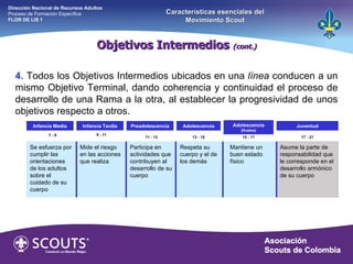 15 - 17 4.   Todos los Objetivos Intermedios ubicados en una  línea  conducen a un mismo Objetivo Terminal, dando coherencia y continuidad el proceso de desarrollo de una Rama a la otra, al establecer la progresividad de unos objetivos respecto a otros. Asume la parte de responsabilidad que le corresponde en el desarrollo armónico de su cuerpo 7 - 9  Infancia Media Infancia Tardía Preadolescencia Adolescencia Adolescencia  (finales) Juventud 9 - 11 11 - 13 13 - 15 17 - 21 Objetivos Intermedios  (cont.) Dirección Nacional de Recursos Adultos  Proceso de Formación Específica  FLOR DE LIS 1 Características esenciales del Movimiento Scout Se esfuerza por cumplir las orientaciones de los adultos sobre el cuidado de su cuerpo Mide el riesgo en las acciones que realiza Participa en actividades que contribuyen al desarrollo de su cuerpo Respeta su cuerpo y el de los demás Mantiene un buen estado físico 