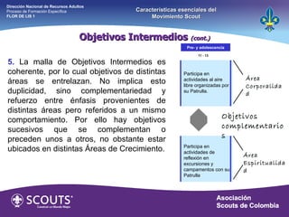 11 - 13 5.   La malla de Objetivos Intermedios es coherente, por lo cual objetivos de distintas áreas se entrelazan. No implica esto duplicidad, sino complementariedad y refuerzo entre énfasis provenientes de distintas áreas pero referidos a un mismo comportamiento. Por ello hay objetivos sucesivos que se complementan o preceden unos a otros, no obstante estar ubicados en distintas Áreas de Crecimiento. Pre- y adolescencia Objetivos complementarios Área Corporalidad Área Espiritualidad Objetivos Intermedios  (cont.) Dirección Nacional de Recursos Adultos  Proceso de Formación Específica  FLOR DE LIS 1 Características esenciales del Movimiento Scout Participa en actividades al aire libre organizadas por su Patrulla. Participa en actividades de reflexión en excursiones y campamentos con su Patrulla 