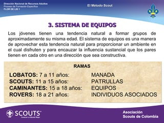 3. SISTEMA DE EQUIPOS LOBATOS:  7 a 11 años:  MANADA SCOUTS:  11 a 15 años:  PATRULLAS CAMINANTES:  15 a 18 años: EQUIPOS ROVERS:  18 a 21 años:  INDIVIDUOS ASOCIADOS Los jóvenes tienen una tendencia natural a formar grupos de aproximadamente su misma edad. El sistema de equipos es una manera de aprovechar esta tendencia natural para proporcionar un ambiente en el cual disfruten y para encauzar la influencia sustancial que los pares tienen en cada otro en una dirección que sea constructiva. RAMAS Dirección Nacional de Recursos Adultos  Proceso de Formación Específica  FLOR DE LIS 1 El Método Scout 