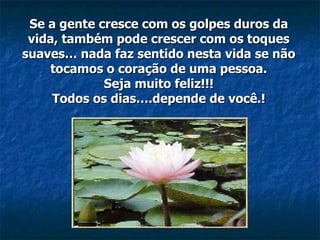 Se a gente cresce com os golpes duros da vida, também pode crescer com os toques suaves… nada faz sentido nesta vida se não tocamos o coração de uma pessoa. Seja muito feliz!!! Todos os dias….depende de você.! 