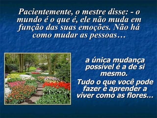 Pacientemente, o mestre disse: - o mundo é o que é, ele não muda em função das suas emoções. Não há como mudar as pessoas… a única mudança possível é a de si mesmo.  Tudo o que você pode fazer é aprender a viver como as flores… 