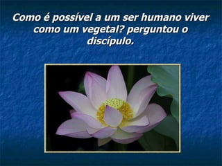 Como é possível a um ser humano viver como um vegetal? perguntou o discípulo. 