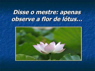Disse o mestre: apenas observe a flor de lótus… 