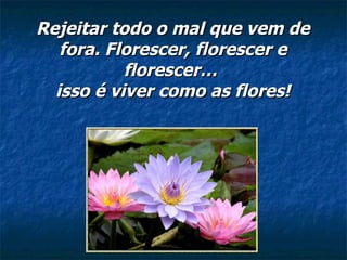 Rejeitar todo o mal que vem de fora. Florescer, florescer e florescer…  isso é viver como as flores! 