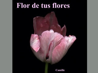 INTIMA... Flor de tus flores   Camille  
