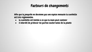 Facteurs de changements
Afin que la jonquille ne devienne pas une espèce menacée la cueillette
est très réglementée:
● la cueillette est limitée à ce que la main peut contenir
● il interdit de prélever les parties souterraines de la plante
 