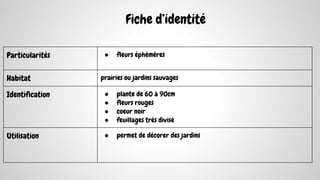 Particularités ● fleurs éphémères
Habitat prairies ou jardins sauvages
Identification ● plante de 60 à 90cm
● fleurs rouges
● coeur noir
● feuillages très divisé
Utilisation ● permet de décorer des jardins
Fiche d’identité
 