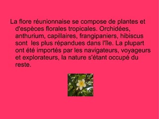 La flore réunionnaise se compose de plantes et
 d'espèces florales tropicales. Orchidées,
 anthurium, capillaires, frangipaniers, hibiscus
 sont les plus répandues dans l'île. La plupart
 ont été importés par les navigateurs, voyageurs
 et explorateurs, la nature s'étant occupé du
 reste.
 