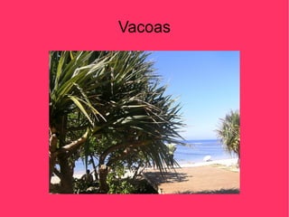 Vacoas
 
