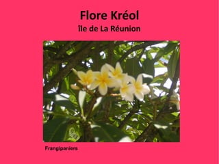 Flore Kréol
                île de La Réunion




Frangipaniers
 