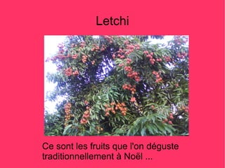 Letchi




Ce sont les fruits que l'on déguste
traditionnellement à Noël ...
 