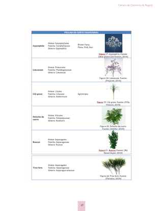 Cámara de Comercio de Bogotá
17
 