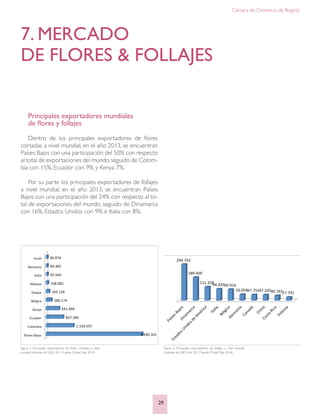 Cámara de Comercio de Bogotá
29
7. MERCADO
DE FLORES & FOLLAJES
Principales exportadores mundiales
de flores y follajes
Dentro de los principales exportadores de flores
cortadas a nivel mundial, en el año 2013, se encuentran
Países Bajos con una participación del 50% con respecto
al total de exportaciones del mundo,seguido de Colom-
bia con 15%, Ecuador con 9% y Kenya 7%.
Por su parte los principales exportadores de follajes
a nivel mundial, en el año 2013, se encuentran Países
Bajos con una participación del 24% con respecto al to-
tal de exportaciones del mundo, seguido de Dinamarca
con 16%, Estados Unidos con 9% e Italia con 8%.
Figura 5. Principales exportadores de flores cortadas a nivel
mundial (millones de USD) 2013. Fuente: (Trade Map, 2014)
Figura 6. Principales exportadores de follajes a nivel mundial
(millones de USD) año 2013. Fuente: (Trade Map, 2014)
 