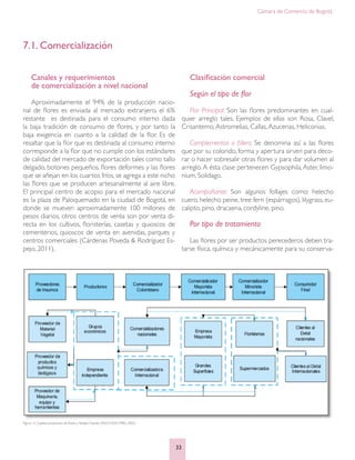 Cámara de Comercio de Bogotá
33
7.1. Comercialización
Canales y requerimientos
de comercialización a nivel nacional
Aproximadamente el 94% de la producción nacio-
nal de flores es enviada al mercado extranjero, el 6%
restante es destinada para el consumo interno dada
la baja tradición de consumo de flores, y por tanto la
baja exigencia en cuanto a la calidad de la flor. Es de
resaltar que la flor que es destinada al consumo interno
corresponde a la flor que no cumple con los estándares
de calidad del mercado de exportación tales como tallo
delgado, botones pequeños, flores deformes y las flores
que se añejan en los cuartos fríos, se agrega a este nicho
las flores que se producen artesanalmente al aire libre.
El principal centro de acopio para el mercado nacional
es la plaza de Paloquemado en la ciudad de Bogotá, en
donde se mueven aproximadamente 100 millones de
pesos diarios, otros centros de venta son por venta di-
recta en los cultivos, floristerías, casetas y quioscos de
cementerios, quioscos de venta en avenidas, parques y
centros comerciales (Cárdenas Poveda & Rodríguez Es-
pejo, 2011).
Figura 12. Cadena productiva de flores y follajes. Fuente: (ASOCOLFLORES, 2002)
Clasificación comercial
Según el tipo de flor
Flor Principal: Son las flores predominantes en cual-
quier arreglo tales. Ejemplos de ellas son Rosa, Clavel,
Crisantemo,Astromelias, Callas,Azucenas, Heliconias.
Complementos o fillers: Se denomina así a las flores
que por su colorido, forma y apertura sirven para deco-
rar o hacer sobresalir otras flores y para dar volumen al
arreglo.A ésta clase pertenecen Gypsophila,Aster, limo-
nium, Solidago.
Acompañante: Son algunos follajes como: helecho
cuero, helecho peine, tree fern (espárragos), lilygrass, eu-
calipto, pino, dracaena, cordyline, pino.
Por tipo de tratamiento
Las flores por ser productos perecederos deben tra-
tarse física, química y mecánicamente para su conserva-
 