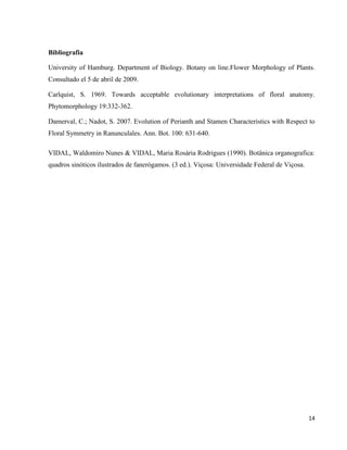 14 
Bibliografia 
University of Hamburg. Department of Biology. Botany on line.Flower Morphology of Plants. 
Consultado el 5 de abril de 2009. 
Carlquist, S. 1969. Towards acceptable evolutionary interpretations of floral anatomy. 
Phytomorphology 19:332-362. 
Damerval, C.; Nadot, S. 2007. Evolution of Perianth and Stamen Characteristics with Respect to 
Floral Symmetry in Ranunculales. Ann. Bot. 100: 631-640. 
VIDAL, Waldomiro Nunes & VIDAL, Maria Rosária Rodrigues (1990). Botânica organografica: 
quadros sinóticos ilustrados de fanerógamos. (3 ed.). Viçosa: Universidade Federal de Viçosa. 
