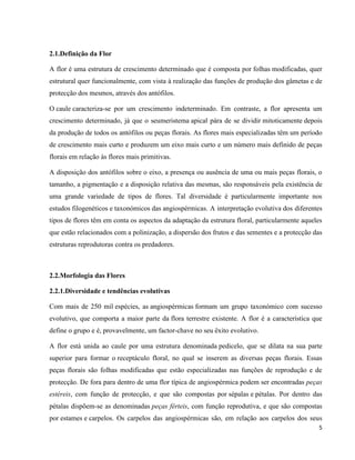 5 
2.1.Definição da Flor 
A flor é uma estrutura de crescimento determinado que é composta por folhas modificadas, quer 
estrutural quer funcionalmente, com vista à realização das funções de produção dos gâmetas e de 
protecção dos mesmos, através dos antófilos. 
O caule caracteriza-se por um crescimento indeterminado. Em contraste, a flor apresenta um 
crescimento determinado, já que o seumeristema apical pára de se dividir mitoticamente depois 
da produção de todos os antófilos ou peças florais. As flores mais especializadas têm um período 
de crescimento mais curto e produzem um eixo mais curto e um número mais definido de peças 
florais em relação às flores mais primitivas. 
A disposição dos antófilos sobre o eixo, a presença ou ausência de uma ou mais peças florais, o 
tamanho, a pigmentação e a disposição relativa das mesmas, são responsáveis pela existência de 
uma grande variedade de tipos de flores. Tal diversidade é particularmente importante nos 
estudos filogenéticos e taxonómicos das angiospérmicas. A interpretação evolutiva dos diferentes 
tipos de flores têm em conta os aspectos da adaptação da estrutura floral, particularmente aqueles 
que estão relacionados com a polinização, a dispersão dos frutos e das sementes e a protecção das 
estruturas reprodutoras contra os predadores. 
2.2.Morfologia das Flores 
2.2.1.Diversidade e tendências evolutivas 
Com mais de 250 mil espécies, as angiospérmicas formam um grupo taxonómico com sucesso 
evolutivo, que comporta a maior parte da flora terrestre existente. A flor é a característica que 
define o grupo e é, provavelmente, um factor-chave no seu êxito evolutivo. 
A flor está unida ao caule por uma estrutura denominada pedicelo, que se dilata na sua parte 
superior para formar o receptáculo floral, no qual se inserem as diversas peças florais. Essas 
peças florais são folhas modificadas que estão especializadas nas funções de reprodução e de 
protecção. De fora para dentro de uma flor típica de angiospérmica podem ser encontradas peças 
estéreis, com função de protecção, e que são compostas por sépalas e pétalas. Por dentro das 
pétalas dispõem-se as denominadas peças férteis, com função reprodutiva, e que são compostas 
por estames e carpelos. Os carpelos das angiospérmicas são, em relação aos carpelos dos seus 
 