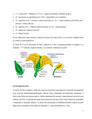 7 
 C = corola ou P = Pétalas (ex: C3 (x) = número de pétalas é múltiplo de três) 
 Z = acrescente se zigomórfica (ex: CZ6 = zigomórfica com 6 pétalas) 
 O = androceu ou E = estames, a parte masculina; ex. A∞ = vários estames-constituídos por 1 
antera e 1 filete cada um 
 G = gineceu ou C = carpelos (parte feminina; ex. G1 = monocarpelar) 
 X - indica um "número variável" 
 ∞ - Indica "muitos 
Usa-se algarismos para mostrar o número de peças em cada ciclo e, se estiverem soldadas entre 
si, coloca-se entre parênteses. 
As letras H, P ou E, colocadas no final, indicam se a flor é hipógina perígina ou epígina e os 
símbolos " * " indicam, respectivamente, se a simetria é bilateral ou radial. 
2.2.3.Função da Flor 
A função da flor é mediar a união dos esporos masculinos (micrósporo) e feminino (megásporo) 
num processo denominado polinização. Muitas flores dependem do vento para transportar o 
pólen entre flores da mesma espécie. Outras dependem de animais (especialmente insectos) para 
realizar este feito. O período de tempo deste processo (até que a flor esteja totalmente expandida 
e funcional) é chamado anthesis. A maior flor encontrada é a Rafflesia arnoldii, espécie na qual 
alguns dos exemplares encontrados já chegaram a 1 metro de diâmetro e 11 kg. 
 