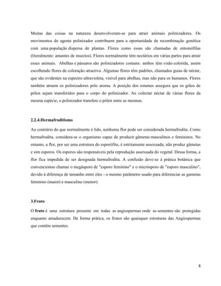 Muitas das coisas na natureza desenvolveram-se para atrair animais polinizadores. Os 
movimentos do agente polinizador contribuem para a oportunidade de recombinação genética 
com uma população dispersa de plantas. Flores como essas são chamadas de entomófilas 
(literalmente: amantes de insectos). Flores normalmente têm nectários em várias partes para atrair 
esses animais. Abelhas e pássaros são polinizadores comuns: ambos têm visão colorida, assim 
escolhendo flores de coloração atractiva. Algumas flores têm padrões, chamados guias de néctar, 
que são evidentes na espectro ultravioleta, visível para abelhas, mas não para os humanos. Flores 
também atraem os polinizadores pelo aroma. A posição dos estames assegura que os grãos de 
pólen sejam transferidos para o corpo do polinizador. Ao colectar néctar de várias flores da 
mesma espécie, o polinizador transfere o pólen entre as mesmas. 
8 
2.2.4.Hermafroditismo 
Ao contrário do que normalmente é lido, nenhuma flor pode ser considerada hermafrodita. Como 
hermafrodita, considera-se o organismo capaz de produzir gâmetas masculinos e femininos. No 
entanto, a flor, por ser uma estrutura do esporófito, é estritamente assexuada; não produz gâmetas 
e sim esporos. Os esporos são responsáveis pela reprodução assexuada do vegetal. Dessa forma, a 
flor fica impedida de ser designada hermafrodita. A confusão deve-se à prática botânica que 
convencionou chamar o megásporo de "esporo feminino" e o micrósporo de "esporo masculino", 
devido à diferença de tamanho entre eles - o mesmo parâmetro usado para diferenciar as gametas 
feminino (maior) e masculino (menor). 
3.Fruto 
O fruto é uma estrutura presente em todas as angiospermas onde as sementes são protegidas 
enquanto amadurecem. De forma prática, os frutos são quaisquer estruturas das Angiospermas 
que contêm sementes. 
 