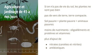 Agriculture et
jardinage de 45 à
nos jours
Si on n’a pas de vie du sol, les plantes ne
vont pas bien
pas de vers de terre, terre compacte.
Sol pauvre = plante pauvre = animaux
pauvres
moins de nutriments : oligoéléments et
protéines et vitamines
plus d’ajout de
● nitrates (carottes et nitrites)
● antibiotiques
 