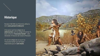 Historique
Pendant 500 000 ans l’homme utilise la
terre sans jamais la labourer
C’est parce qu’il est obligé de se
sédentariser qu’il est obligé d’inventer la
lutte contre la “mauvaise herbe” : cela
nécessite 14 heures de travail à l’hectare
Un sol est obligé de se couvrir la
“mauvaise herbe” qui est hyper
importante pour le sol vivant.
 