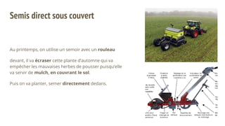 Semis direct sous couvert
Au printemps, on utilise un semoir avec un rouleau
devant, il va écraser cette plante d’automne qui va
empêcher les mauvaises herbes de pousser puisqu’elle
va servir de mulch, en couvrant le sol.
Puis on va planter, semer directement dedans.
 
