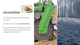 micronutrition
on n’ensemence pas directement les
intestins,
on nettoie les intestins directement.
Ces plantes sont choisies pour qu’elles
n’agressent pas les intestins mais les
soignent naturellement.
 