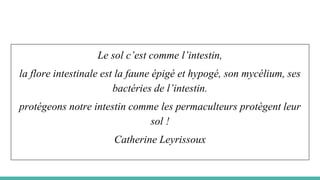Le sol c’est comme l’intestin,
la flore intestinale est la faune épigé et hypogé, son mycélium, ses
bactéries de l’intestin.
protégeons notre intestin comme les permaculteurs protègent leur
sol !
Catherine Leyrissoux
 